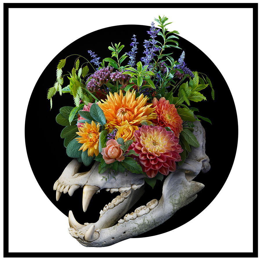 Nick Pedersen "Vanitas I"